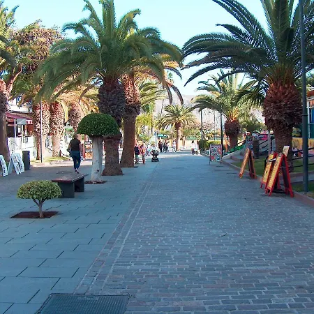 Apartment Sun Terrace Cristianos By Helloapartments Los Cristianos (Tenerife)